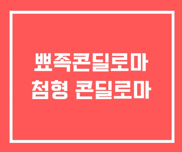 뾰족콘딜로마 첨형 콘딜로마