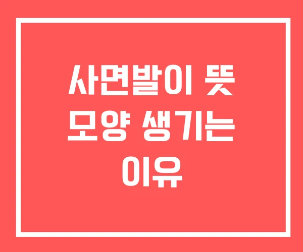 사면발이 뜻 모양 생기는 이유