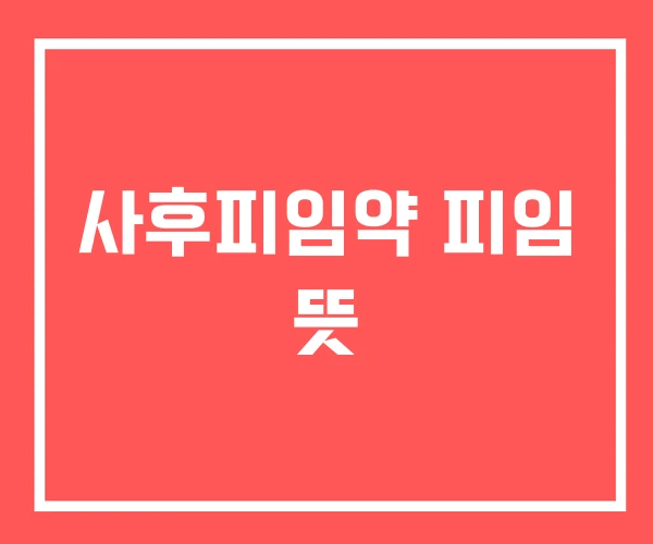 사후피임약 피임 뜻