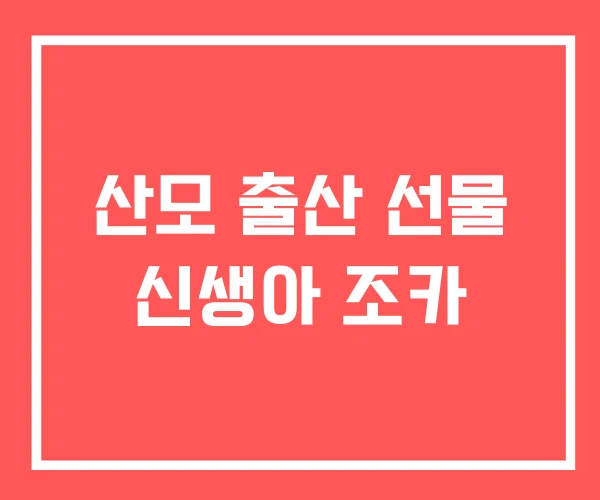 산모 출산 선물 신생아 조카