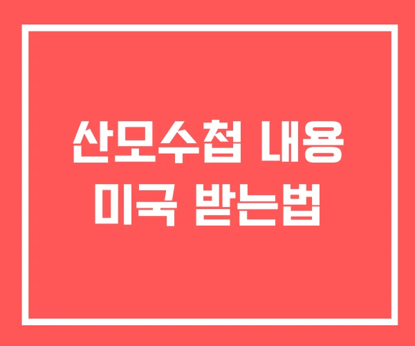 산모수첩 내용 미국 받는법
