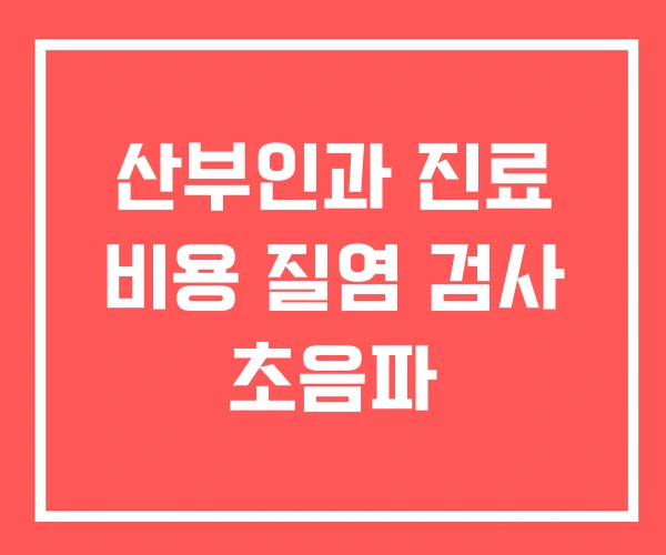 산부인과 진료 비용 질염 검사 초음파