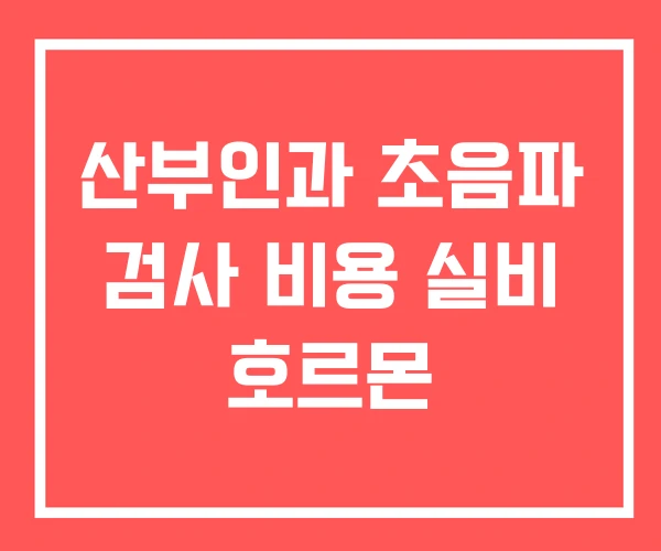 산부인과 초음파 검사 비용 실비 호르몬