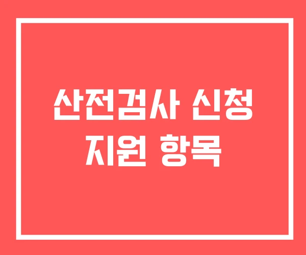 산전검사 신청 지원 항목