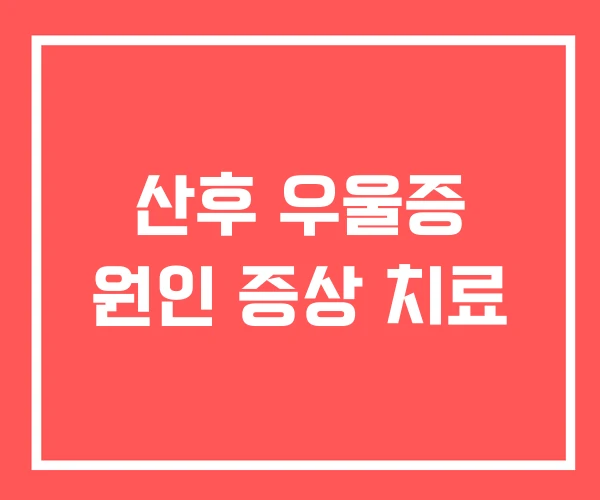 산후 우울증 원인 증상 치료