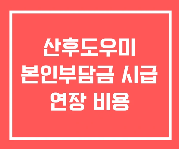 산후도우미 본인부담금 시급 연장 비용