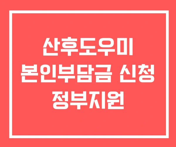산후도우미 본인부담금 신청 정부지원