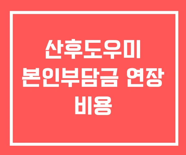 산후도우미 본인부담금 연장 비용