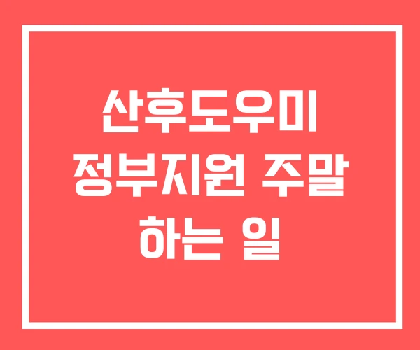산후도우미 정부지원 주말 하는 일