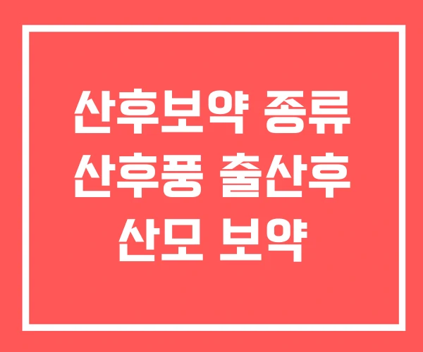 산후보약 종류 산후풍 출산후 산모 보약