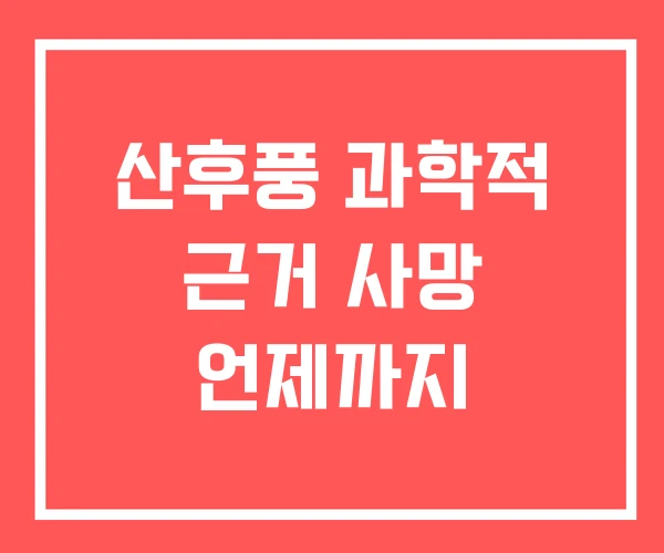 산후풍 과학적 근거 사망 언제까지