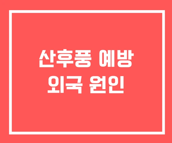 산후풍 예방 외국 원인