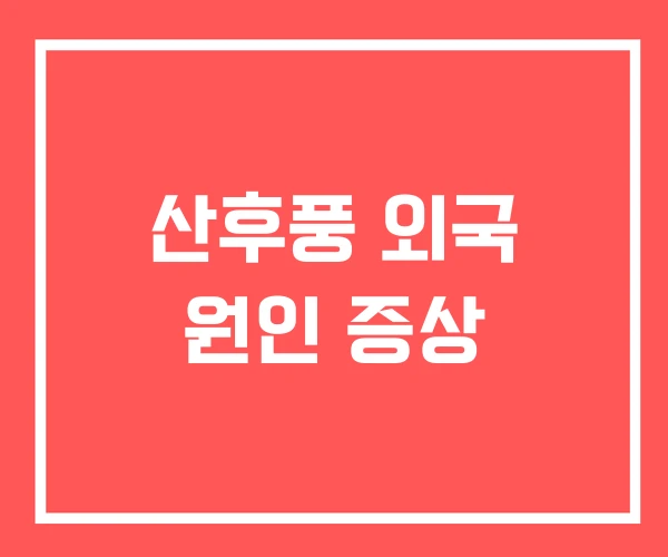 산후풍 외국 원인 증상