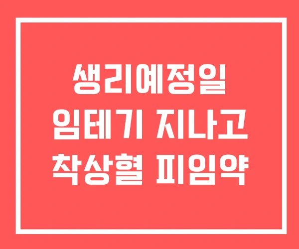 생리예정일 임테기 지나고 착상혈 피임약