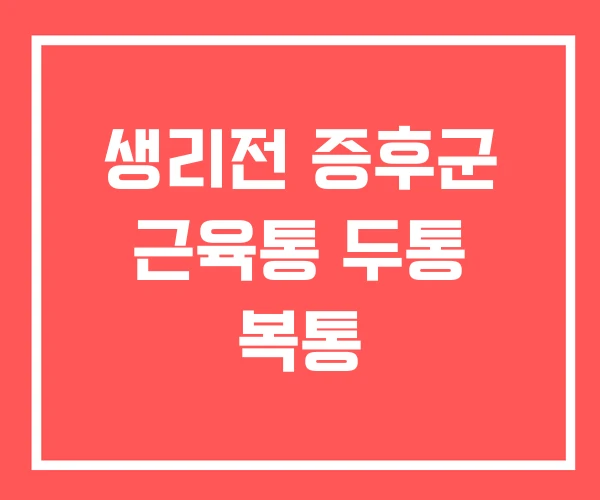 생리전 증후군 근육통 두통 복통