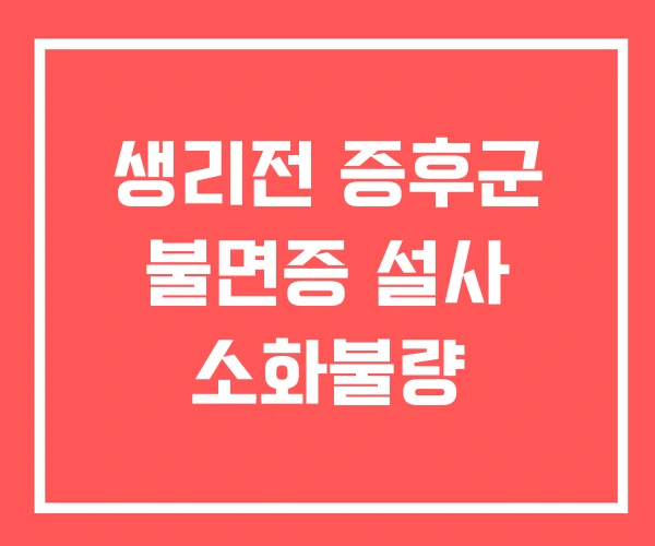 생리전 증후군 불면증 설사 소화불량