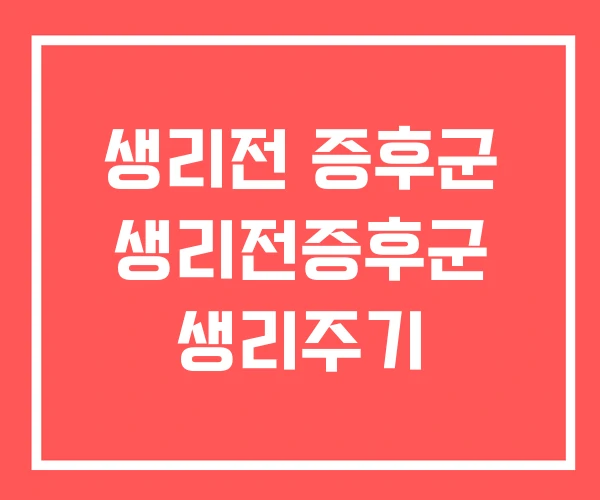 생리전 증후군 생리전증후군 생리주기