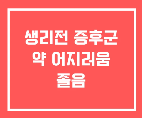 생리전 증후군 약 어지러움 졸음
