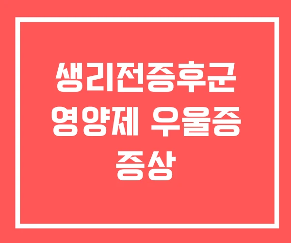 생리전증후군 영양제 우울증 증상