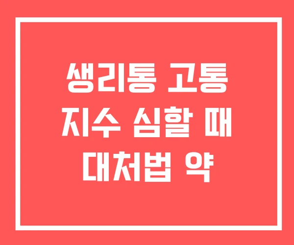 생리통 고통 지수 심할 때 대처법 약