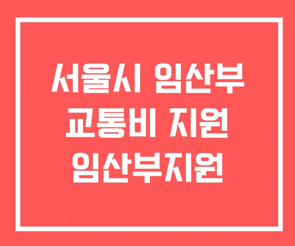 서울시 임산부 교통비 지원 임산부지원