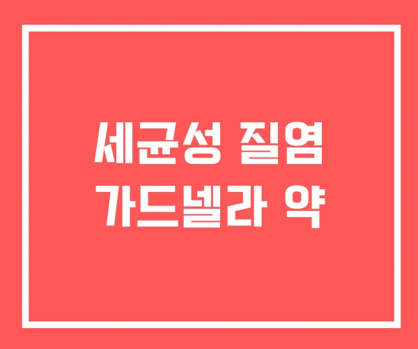 세균성 질염 가드넬라 약