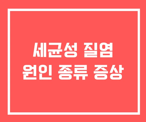 세균성 질염 원인 종류 증상