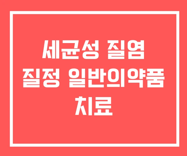 세균성 질염 질정 일반의약품 치료