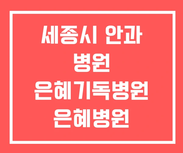 세종시 안과 병원 은혜기독병원 은혜병원