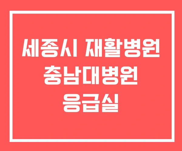 세종시 재활병원 충남대병원 응급실