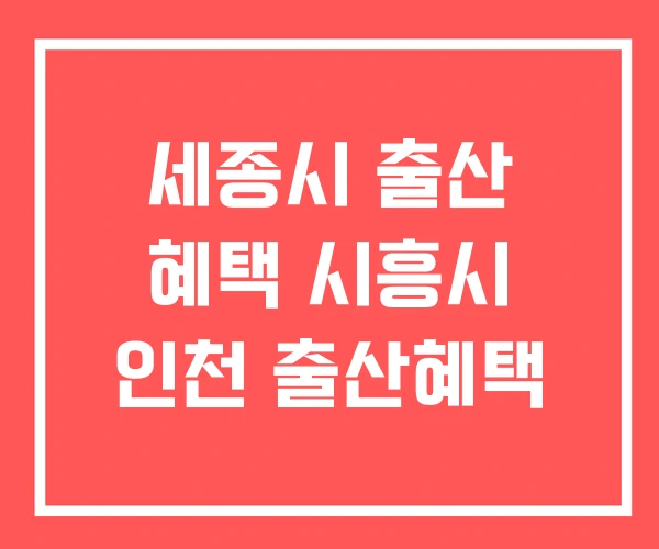 세종시 출산 혜택 시흥시 인천 출산혜택