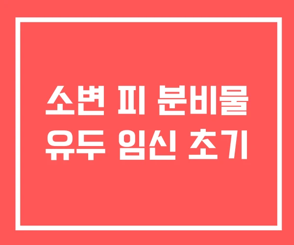 소변 피 분비물 유두 임신 초기