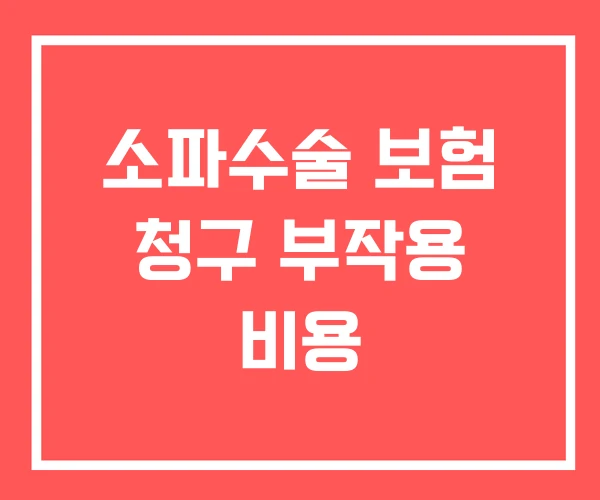 소파수술 보험 청구 부작용 비용