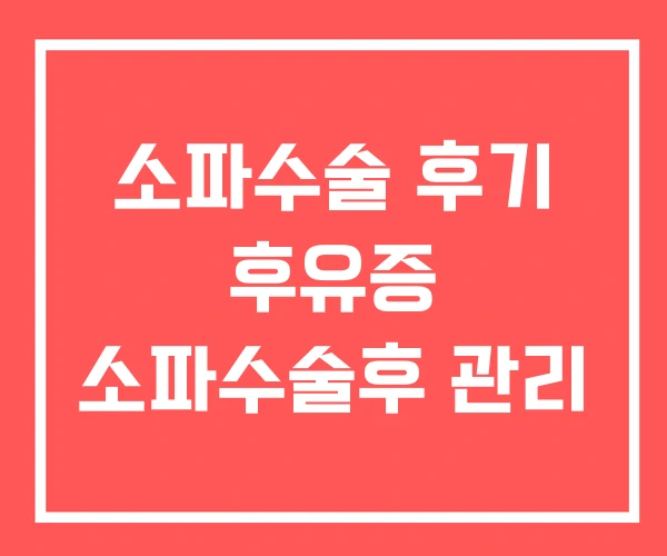 소파수술 후기 후유증 소파수술후 관리