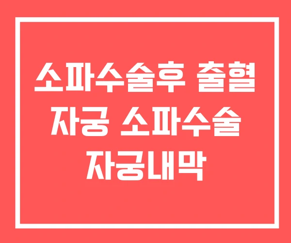 소파수술후 출혈 자궁 소파수술 자궁내막