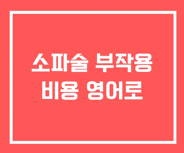 소파술 부작용 비용 영어로