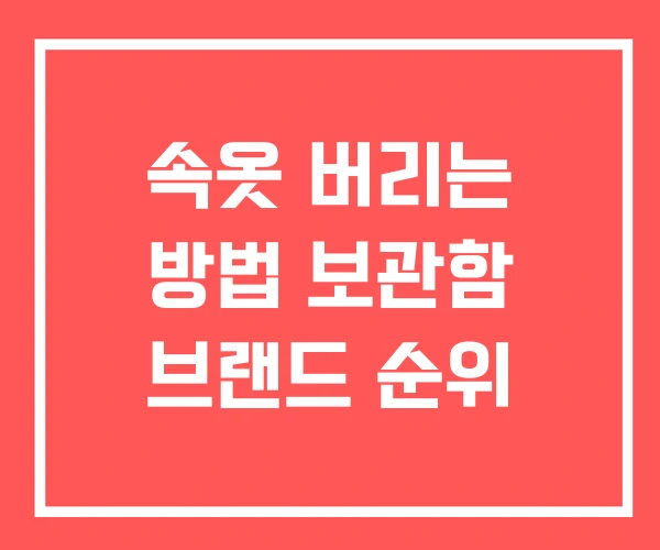속옷 버리는 방법 보관함 브랜드 순위