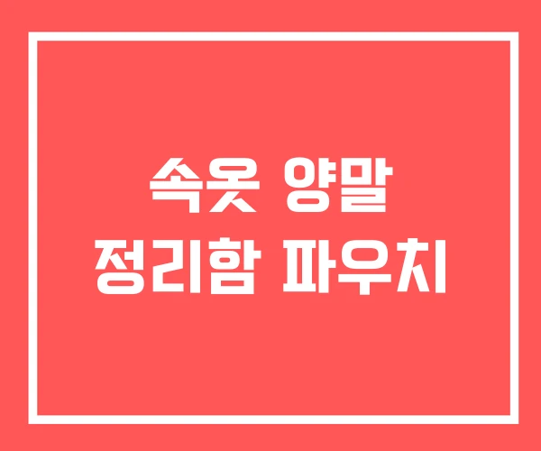 속옷 양말 정리함 파우치