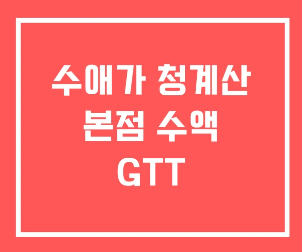 수애가 청계산 본점 수액 GTT