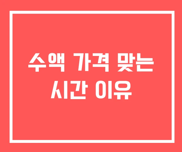 수액 가격 맞는 시간 이유