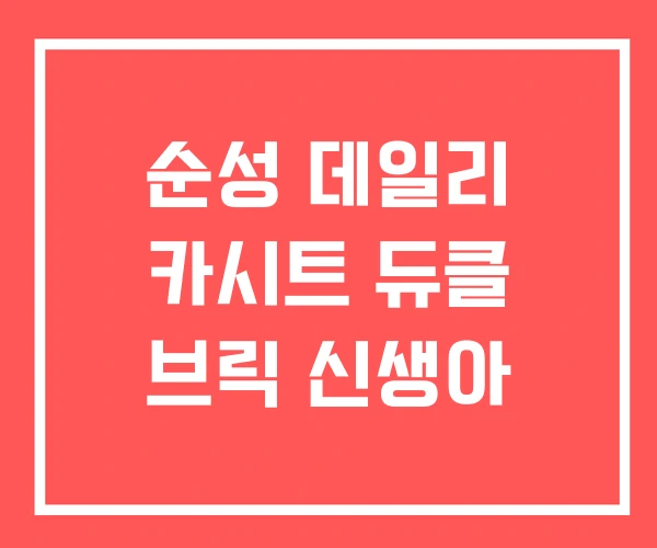 순성 데일리 카시트 듀클 브릭 신생아