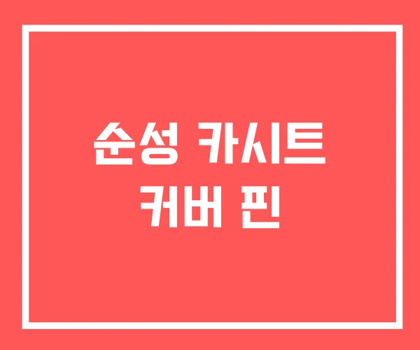 순성 카시트 커버 핀