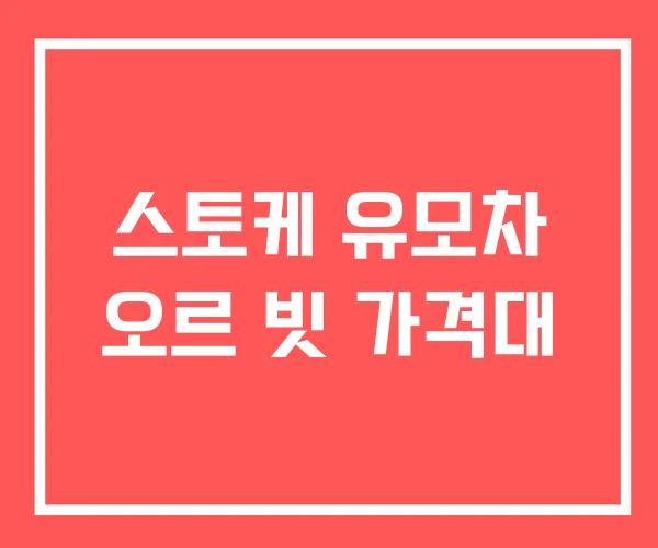 스토케 유모차 오르 빗 가격대