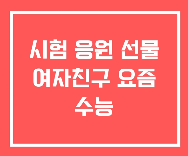 시험 응원 선물 여자친구 요즘 수능