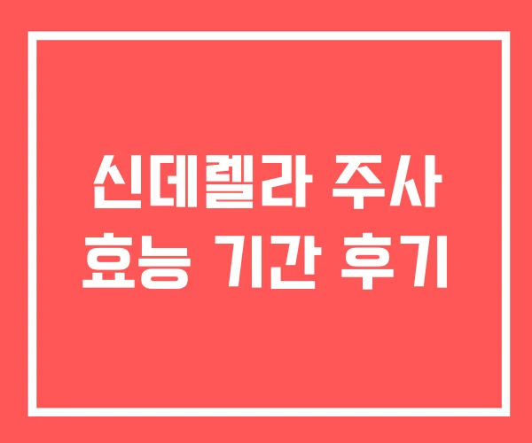신데렐라 주사 효능 기간 후기