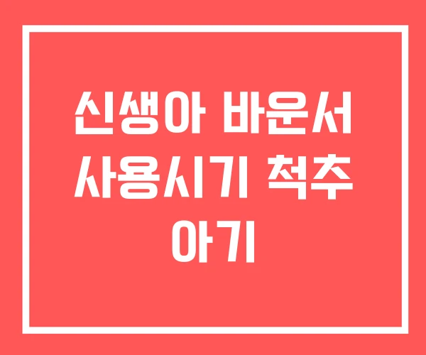 신생아 바운서 사용시기 척추 아기