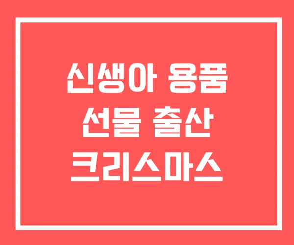 신생아 용품 선물 출산 크리스마스