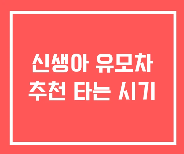 신생아 유모차 추천 타는 시기