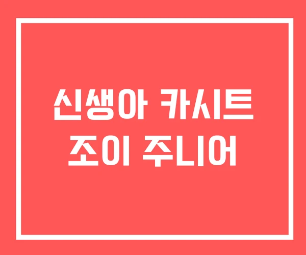 신생아 카시트 조이 주니어