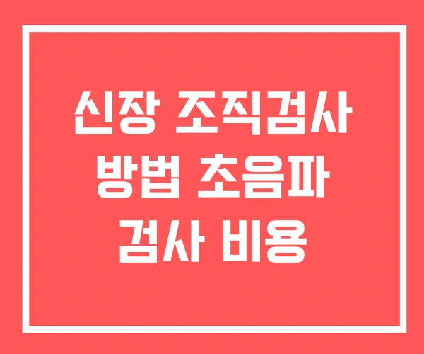 신장 조직검사 방법 초음파 검사 비용
